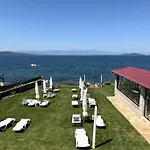 Esin Cunda Айвалык